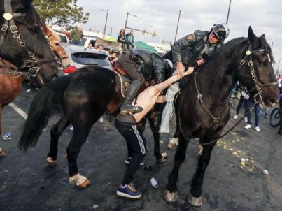 eagles fan fucks horse