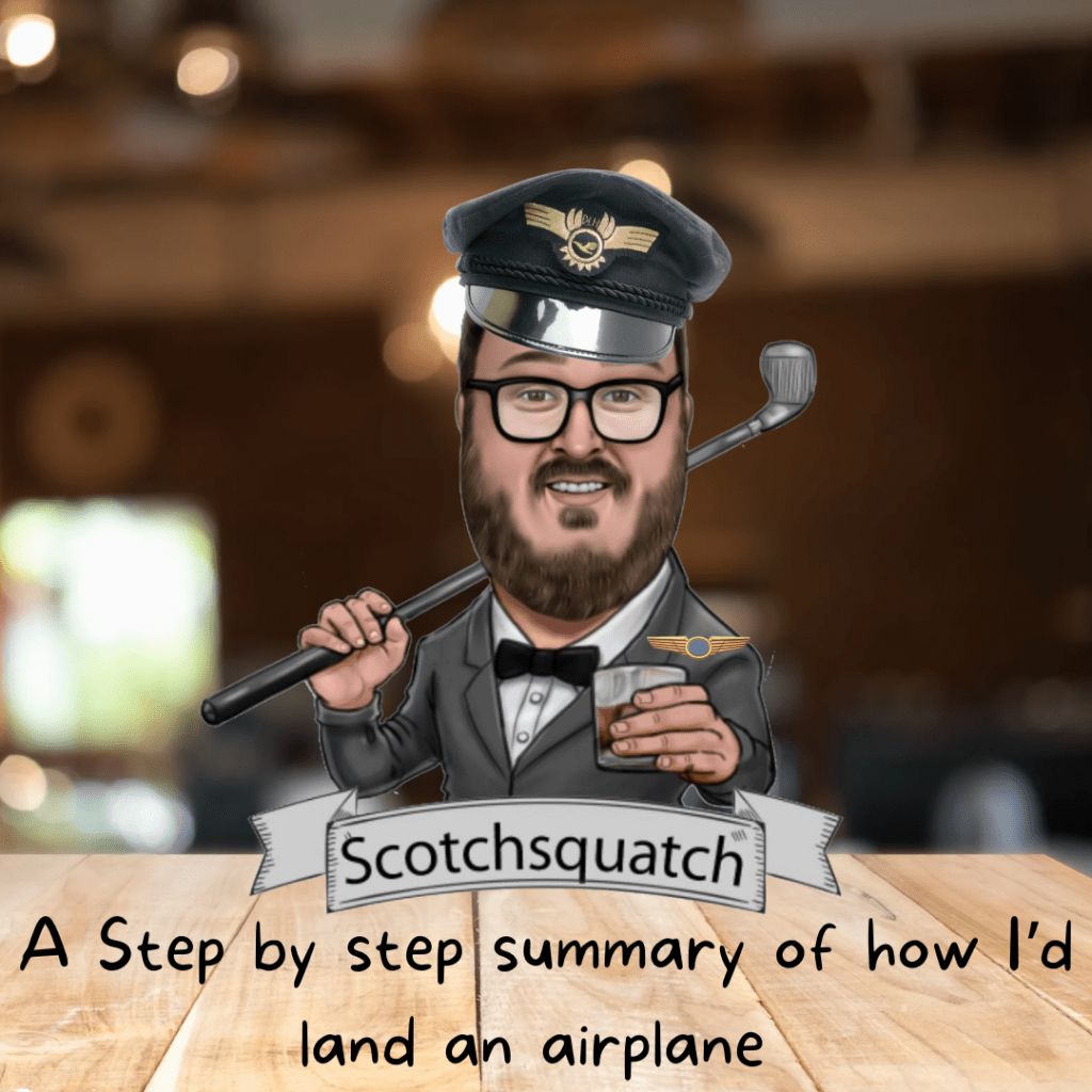 I am proudly in the 50% of males who believe (know) they could land an&nbsp;airplane